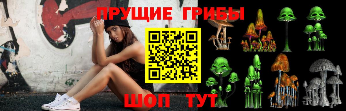 Псилоцибиновые грибы Psilocybe Коркино